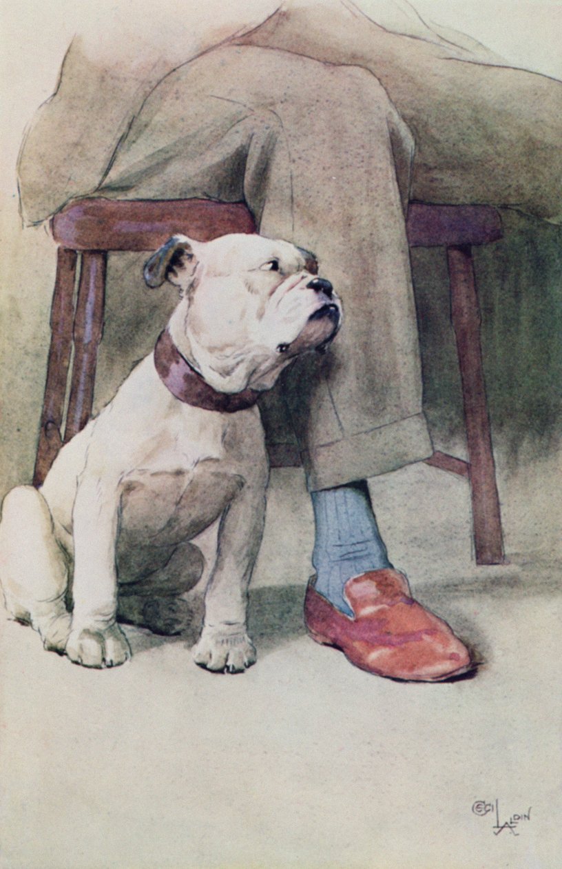 Bulldog (penna och bläck och tvätta på papper) av Cecil Charles Windsor Aldin