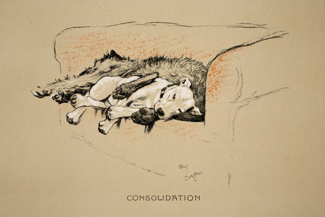 Consolation, 1930, första upplagan av "Sleeping Partners", Aldin, Cecil Charles Windsor (1870-1935), utgiven av Eyre and Spottiswoode Limited, krita och kol på papper. av Cecil Charles Windsor Aldin