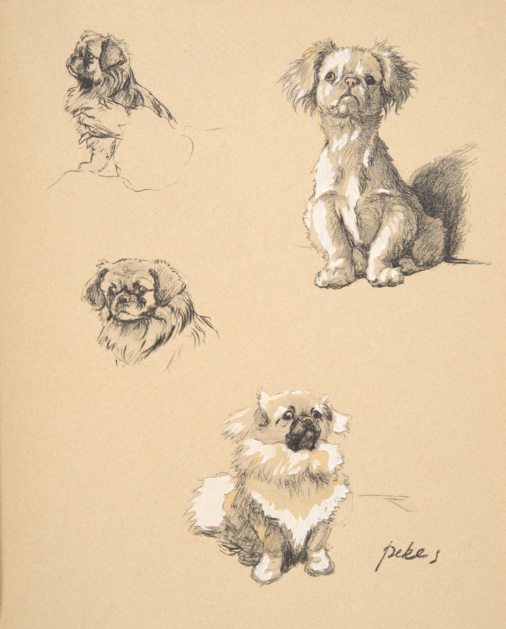 Pekes, 1930, Illustrationer från hans skissbok som användes för 