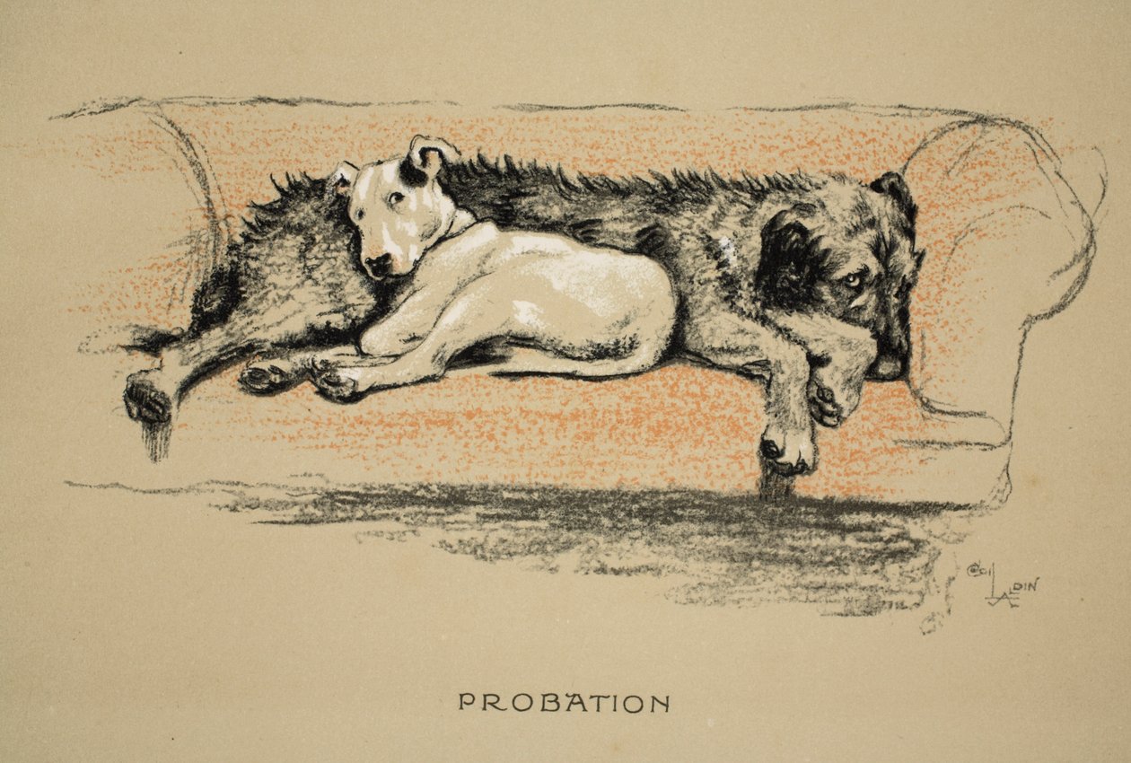 Probation, 1930, första upplagan av "Sleeping Partners", Aldin, Cecil Charles Windsor (1870-1935), utgiven av Eyre and Spottiswoode Limited, krit- och kolteckning på papper. av Cecil Charles Windsor Aldin