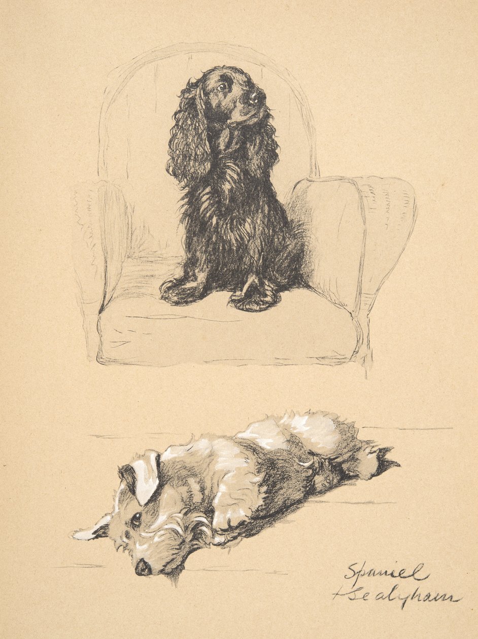 Spaniel och Sealyham, 1930, Illustrationer från hans skissbok som användes för 