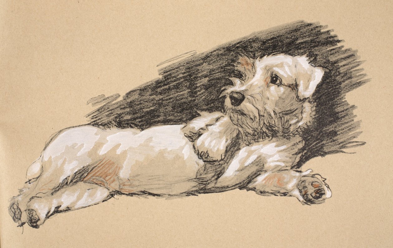 Terrier Detail, 1930, Illustrationer från hans skissbok som användes för "Just Among Friends", Aldin, Cecil Charles Windsor (1870-1935), senare publicerad av Eyre och Spottiswoode Limited, 1934, Chalk and Char av Cecil Charles Windsor Aldin