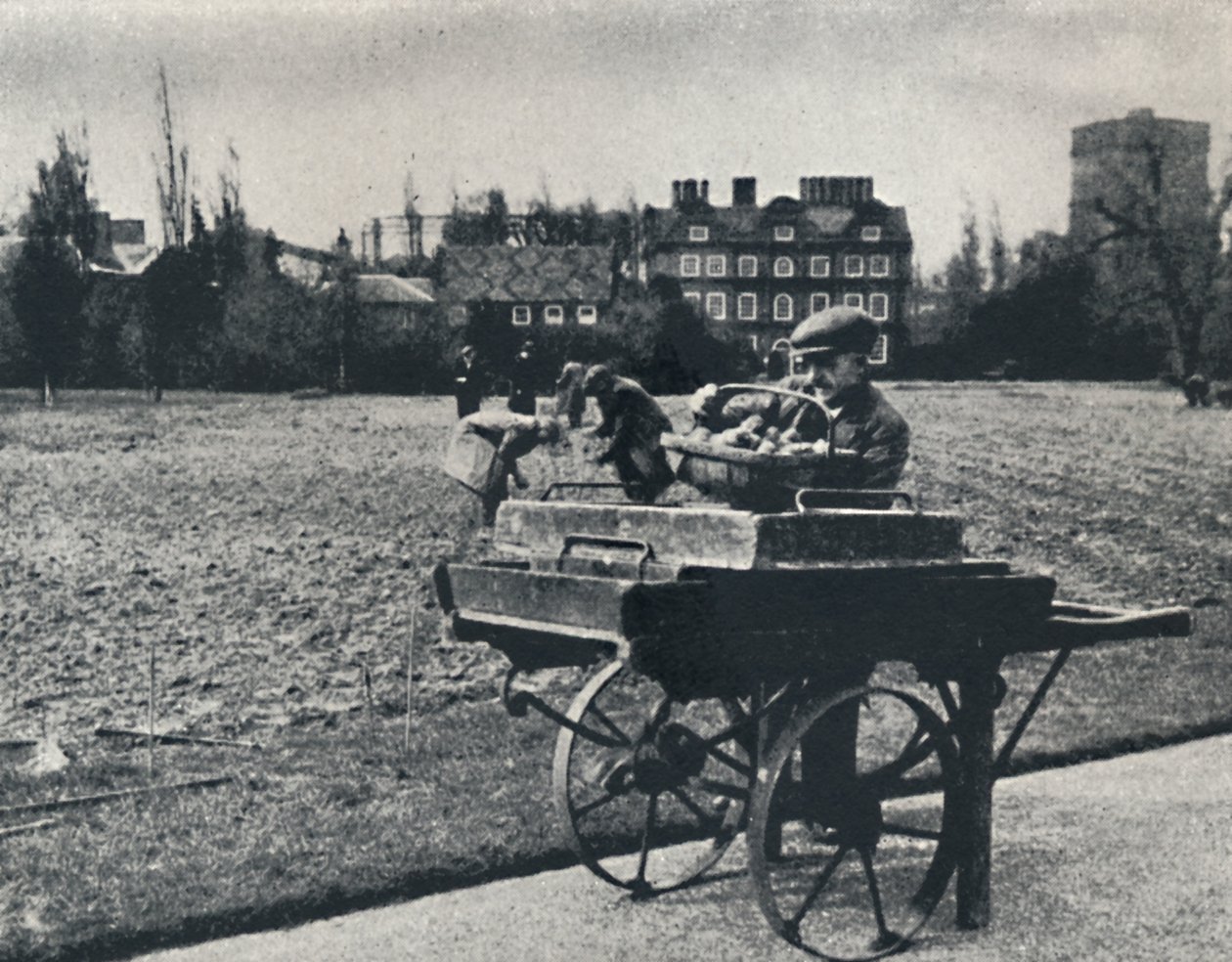 Potatis i Kew Gardens, 1941 av Cecil Beaton