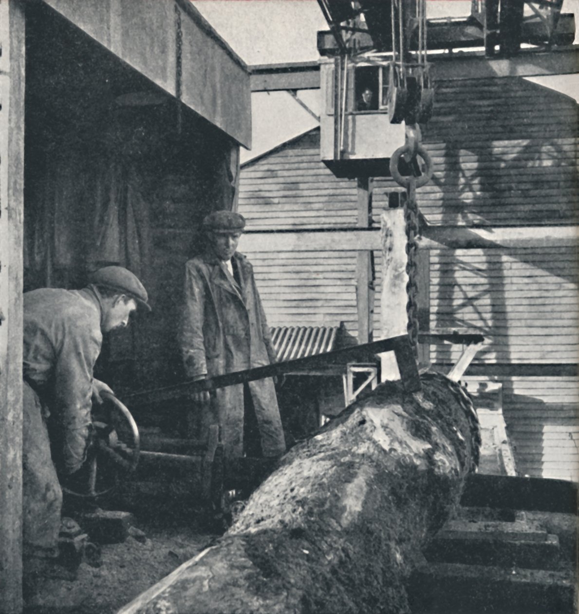 Sågning av timmer, 1941 av Cecil Beaton