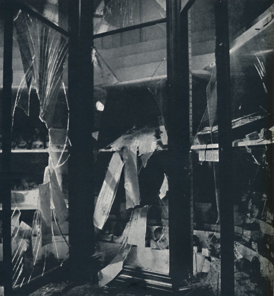 Utställningsfall i Naturhistoriska museet, 1941 av Cecil Beaton