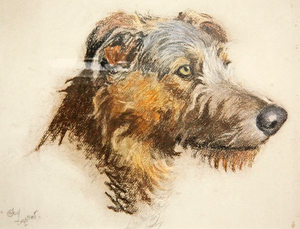 En skotsk rådjurshund (pastell på tonat papper) av Cecil Charles Windsor Aldin