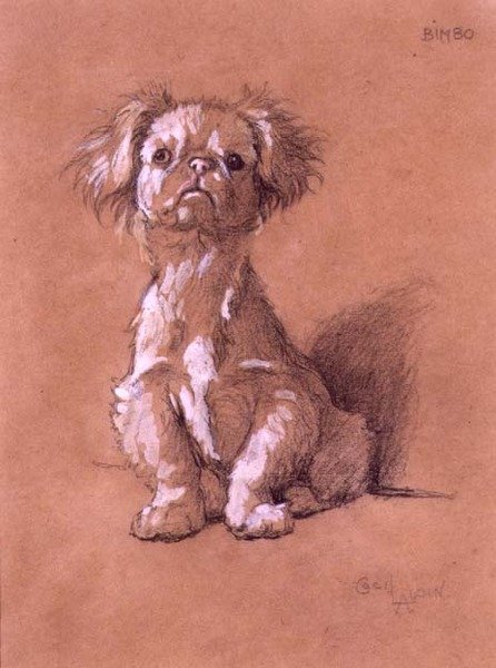 Bimbo (penna och gouache på papper) av Cecil Charles Windsor Aldin