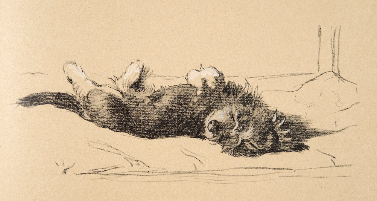 Rough Daschund Puppy Detail, 1930, Illustrationer från hans skissbok använd för Just Among Friends, Aldin, Cecil Charles Windsor (1870-1935), senare publicerad av Eyre och Spottiswoode Limited, 1934, Cha av Cecil Charles Windsor Aldin