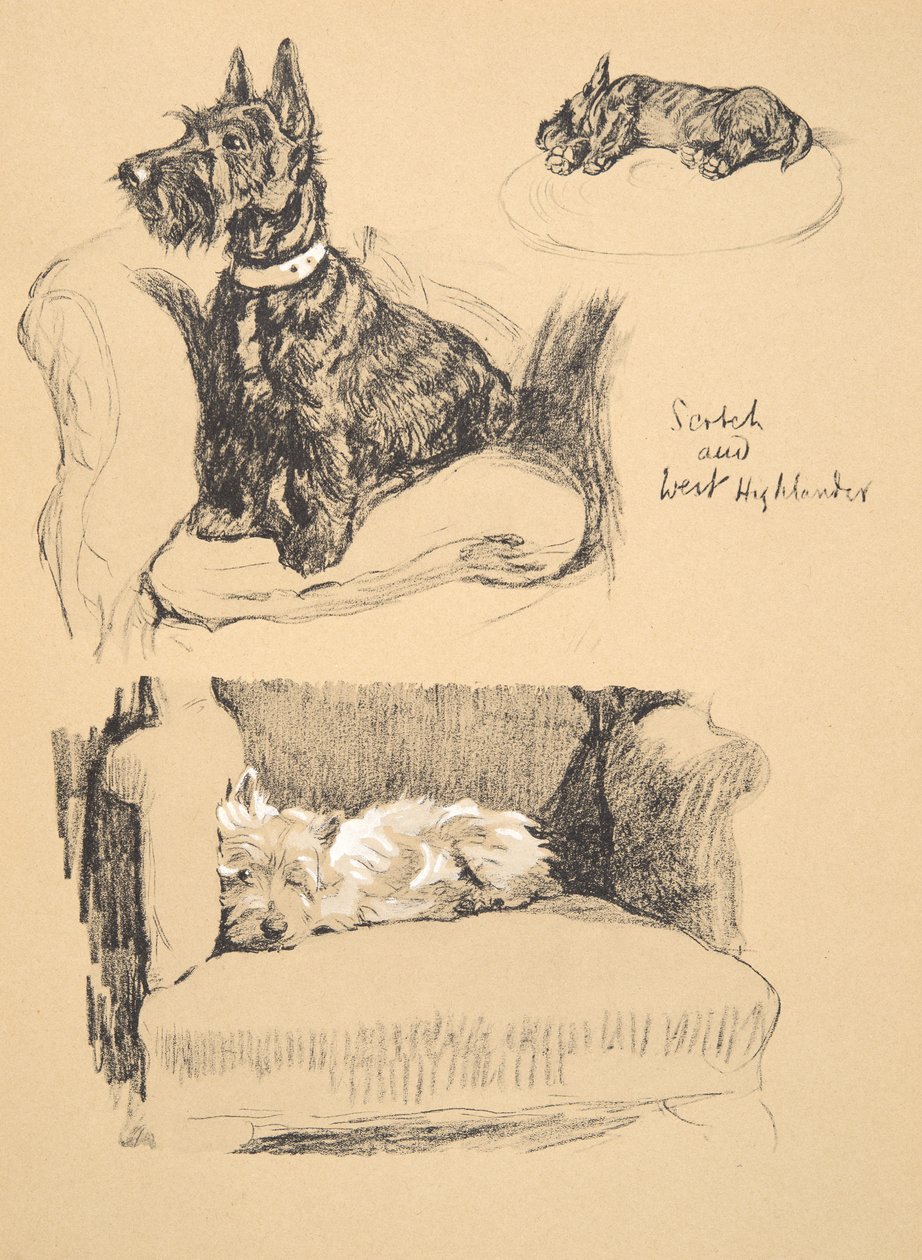 Scotch and West Highlander, 1930, Illustrationer från hans skissbok som används för Just Among Friends, Aldin, Cecil Charles Windsor (1870-1935), senare publicerad av Eyre och Spottiswoode Limited, 1934, Chal av Cecil Charles Windsor Aldin