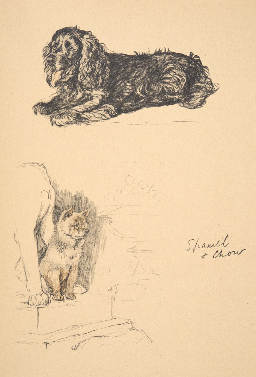 Spaniel and Chow, 1930, Illustrationer från hans skissbok som används för Just Among Friends, Aldin, Cecil Charles Windsor (1870-1935), senare publicerad av Eyre och Spottiswoode Limited, 1934, Chalk and Char av Cecil Charles Windsor Aldin