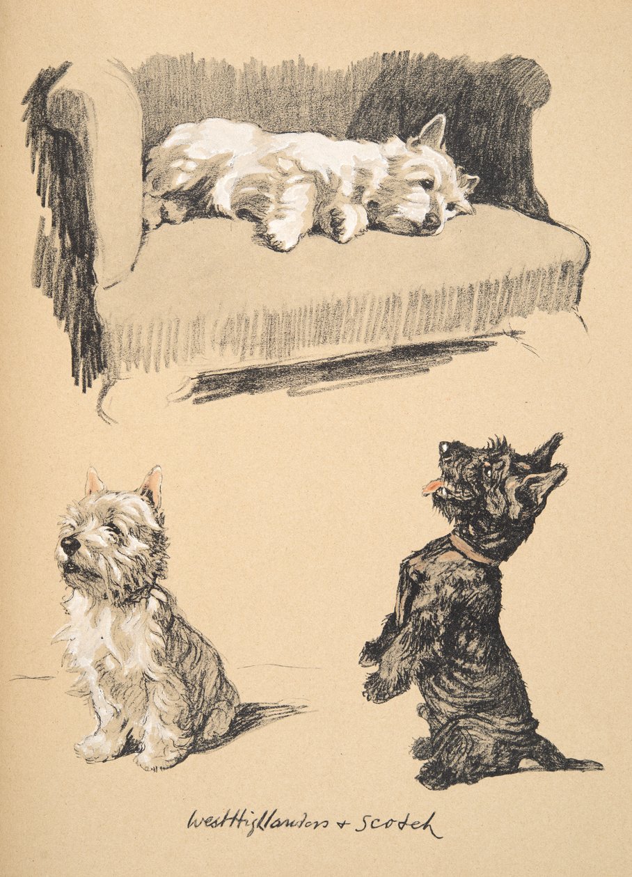 West Highlanders and Scotch, 1930, illustrationer från hans skissbok använd för Just Among Friends, senare publicerad av Eyre och Spottiswoode Limited, 1934 (krita och kol på papper) av Cecil Charles Windsor Aldin