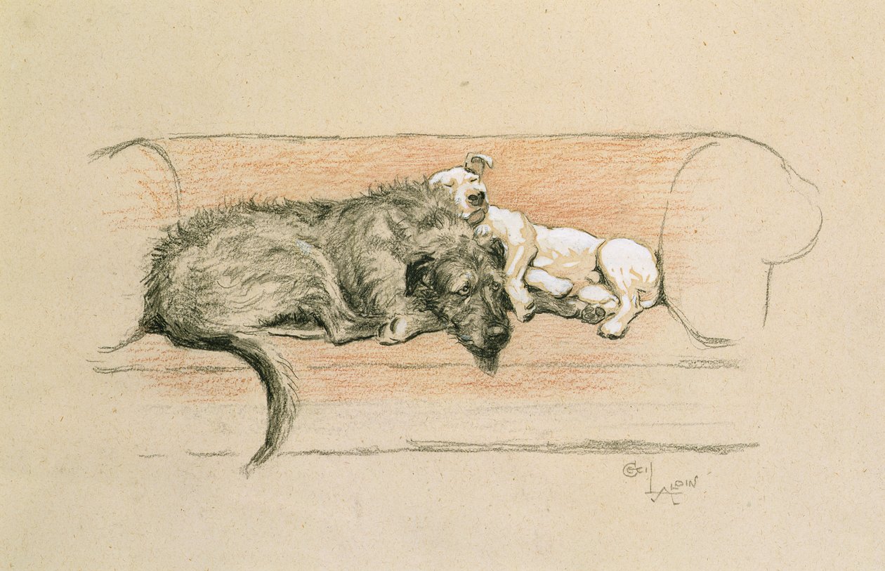 Varghund och bullterrier sover på en soffa (pastellfärgad på papper) av Cecil Charles Windsor Aldin