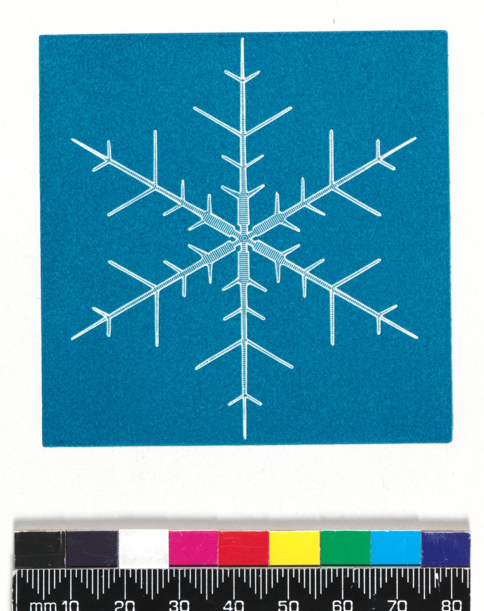 Snökristaller av Cecilia Glaisher