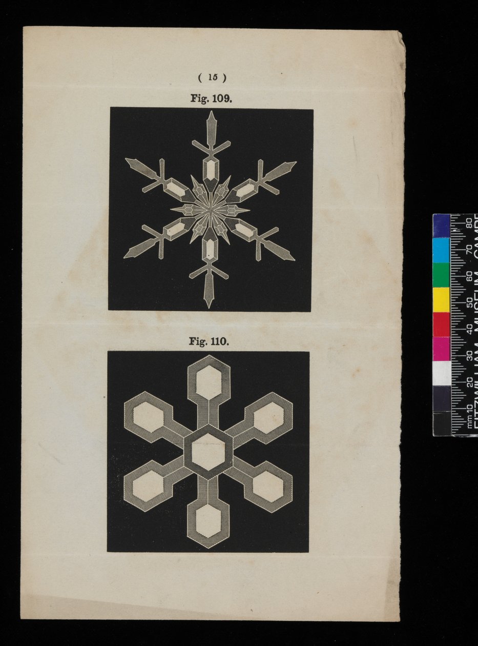Snökristaller av Cecilia Glaisher