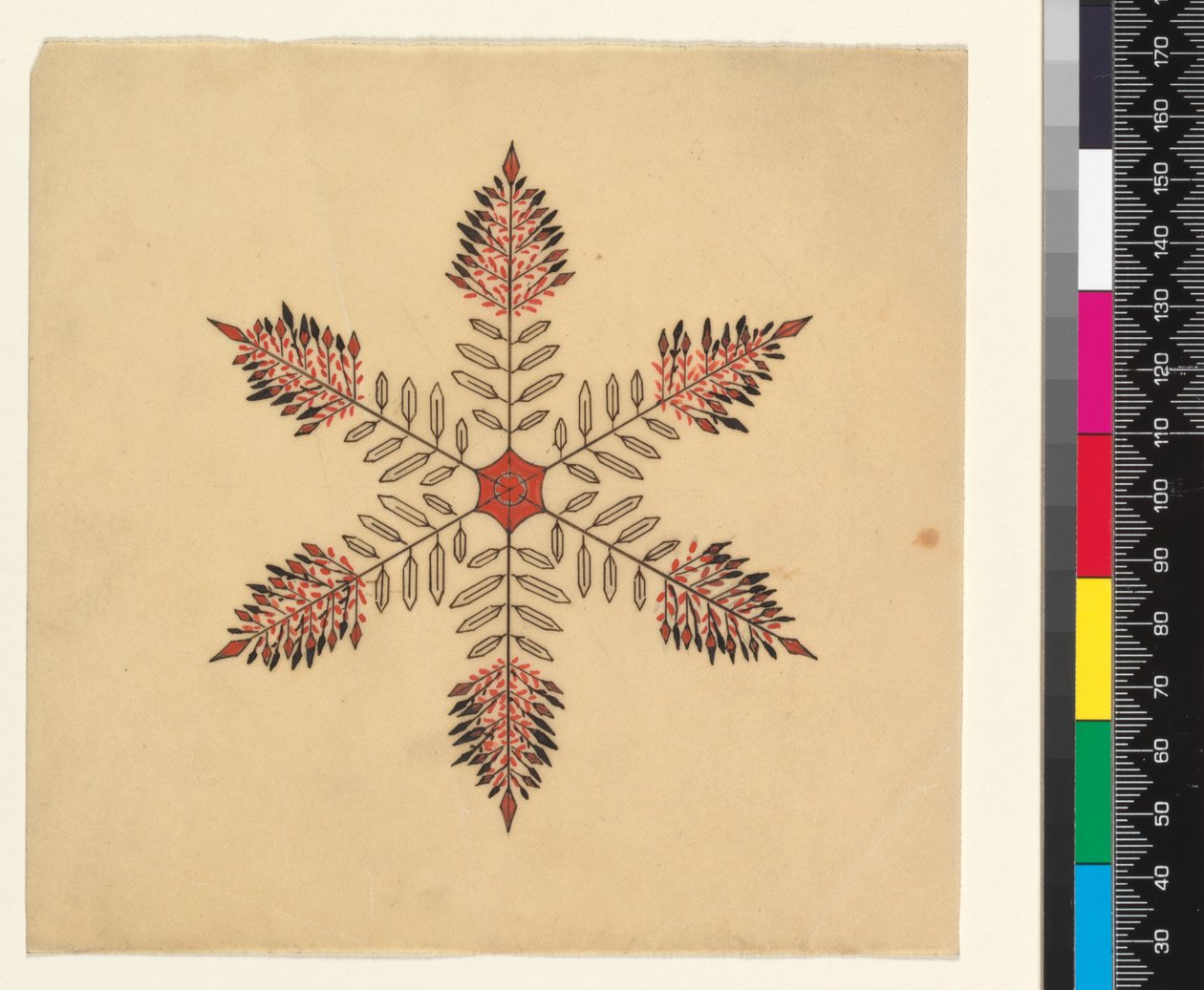 Snökristaller av Cecilia Glaisher