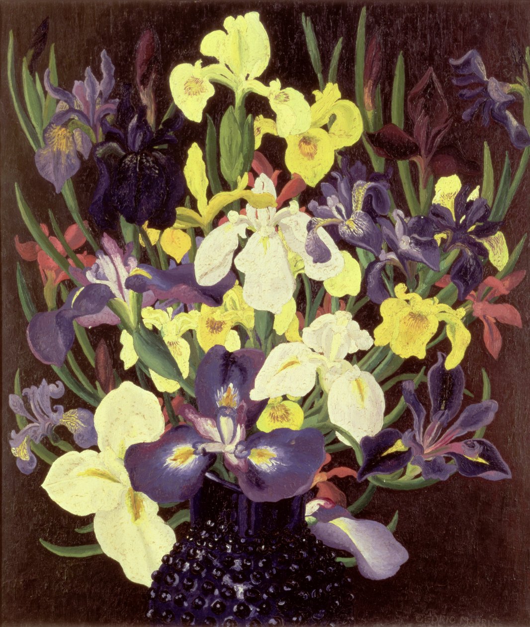 Grupp av iriser, ca 1940 av Cedric Morris