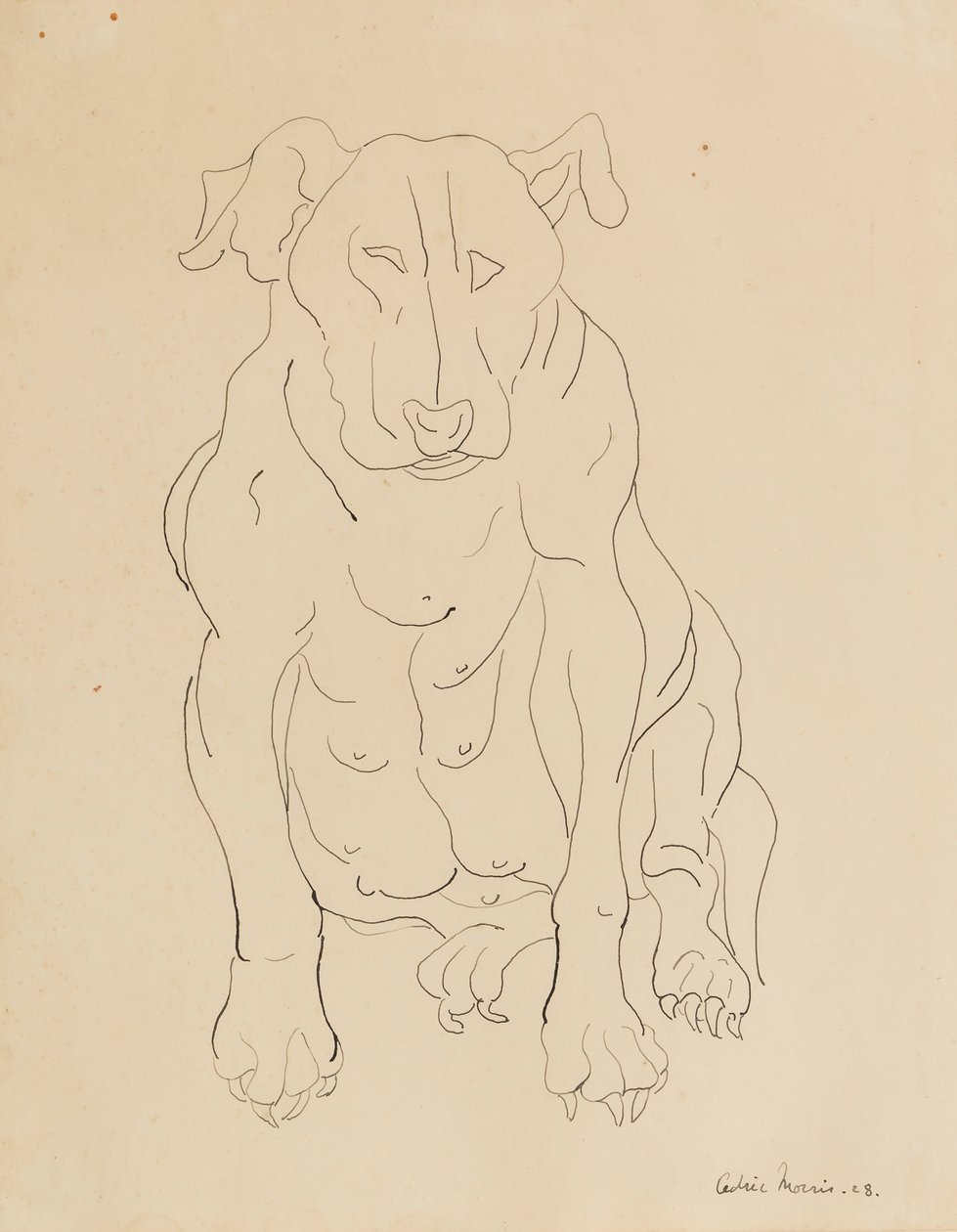 Nancy Morris tjurhund av Cedric Morris