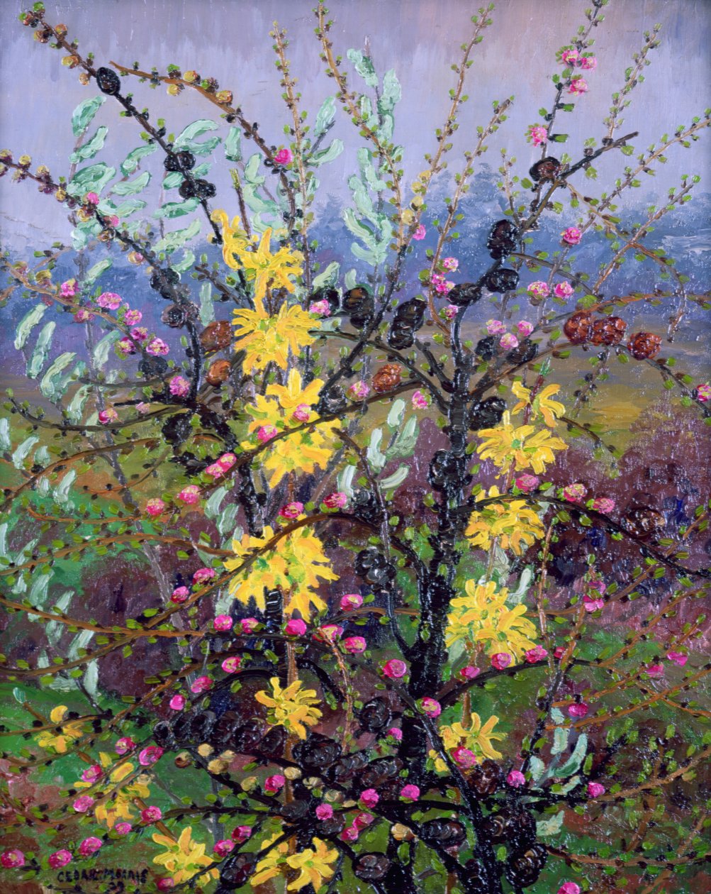 Buskar (olja på duk) av Cedric Morris