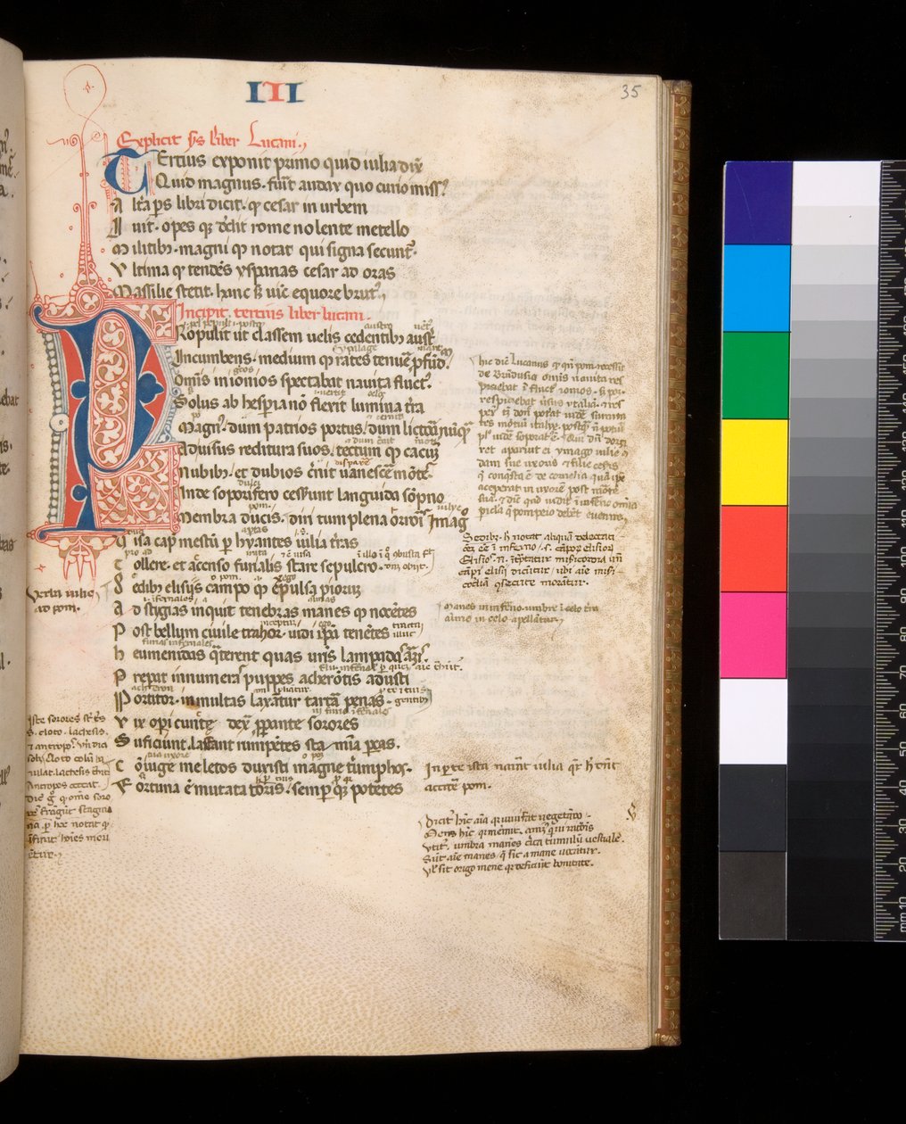Ms 325. Lucan, Bellum Civile, och andra verk, f.35r. Delad initial [P] i rött och blått med kontrasterande penna blomstrande, c.1353 (pergament) av Central Italian School