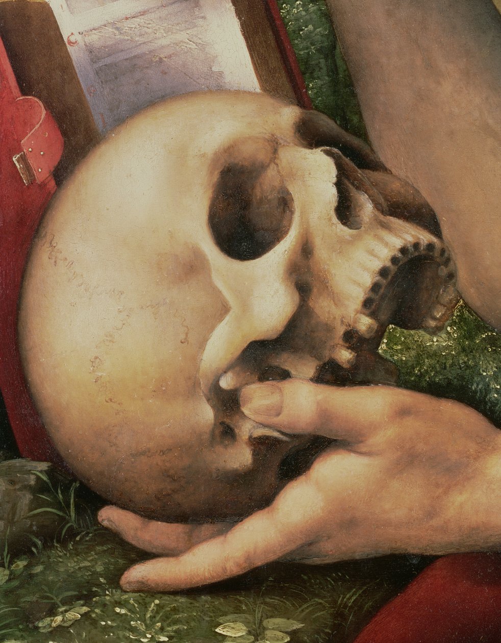 St. Hieronymus, detalj av skallen (detalj av 112517) av Cesare da Sesto