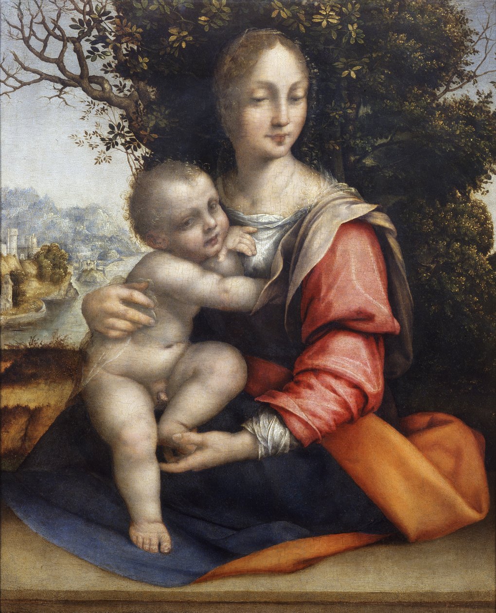 Madonna och barn (Our Lady of the Tree) av Cesare da Sesto