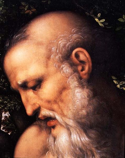 St. Hieronymus, detalj av helgonets huvud (olja på panel) (detalj av 112517) av Cesare da Sesto
