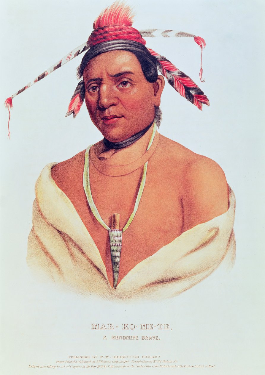 Stående av Mar-Ko-and-Te, A Brave Menomene, 1838 av Charles Bird King