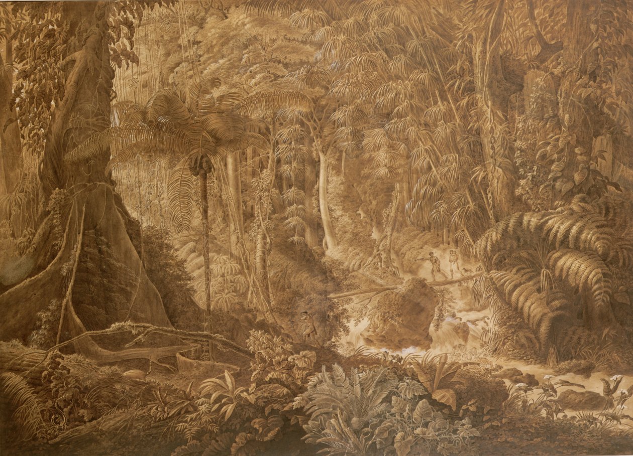 Brasiliansk regnskog, ca 1819 av Charles Comte de Clarac
