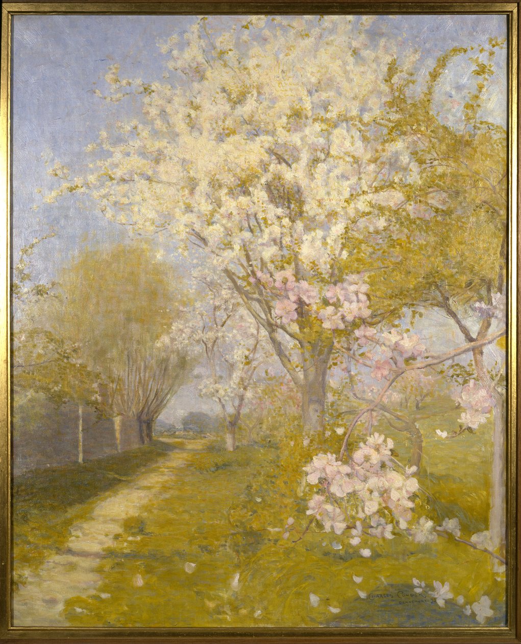 Apple Blossom i Dennemont, 1893 av Charles Edward Conder