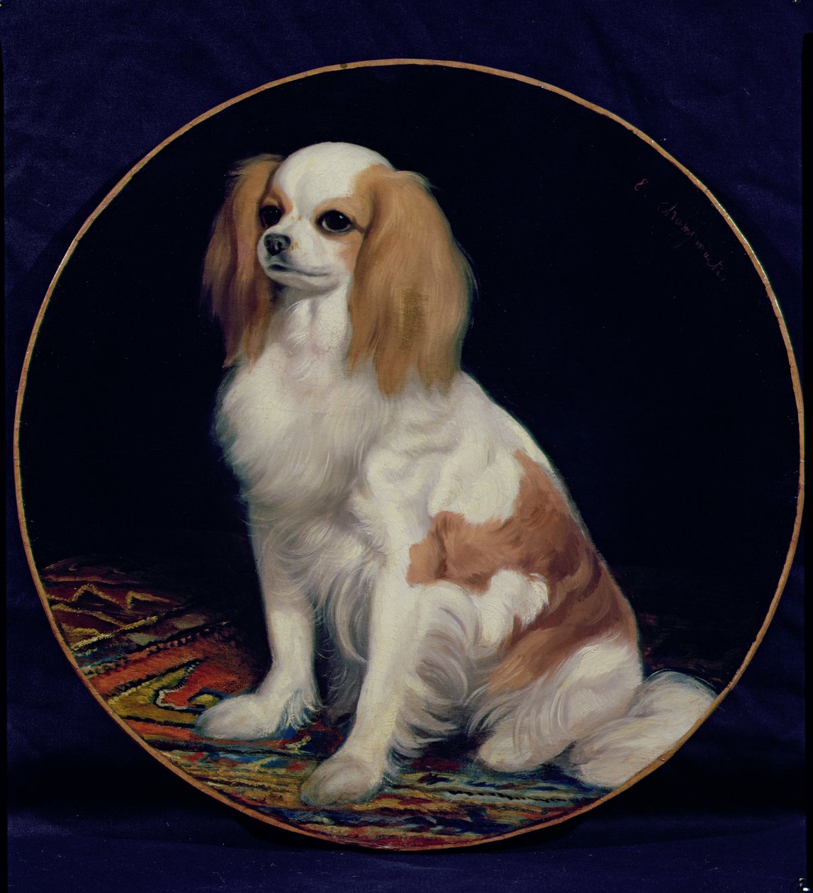 King Charles Spaniel av Charles Emile Callande de Champmartin