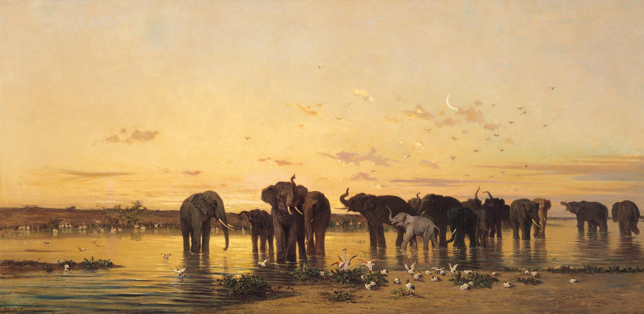 Afrikanska elefanter av Charles Émile de Tournemine