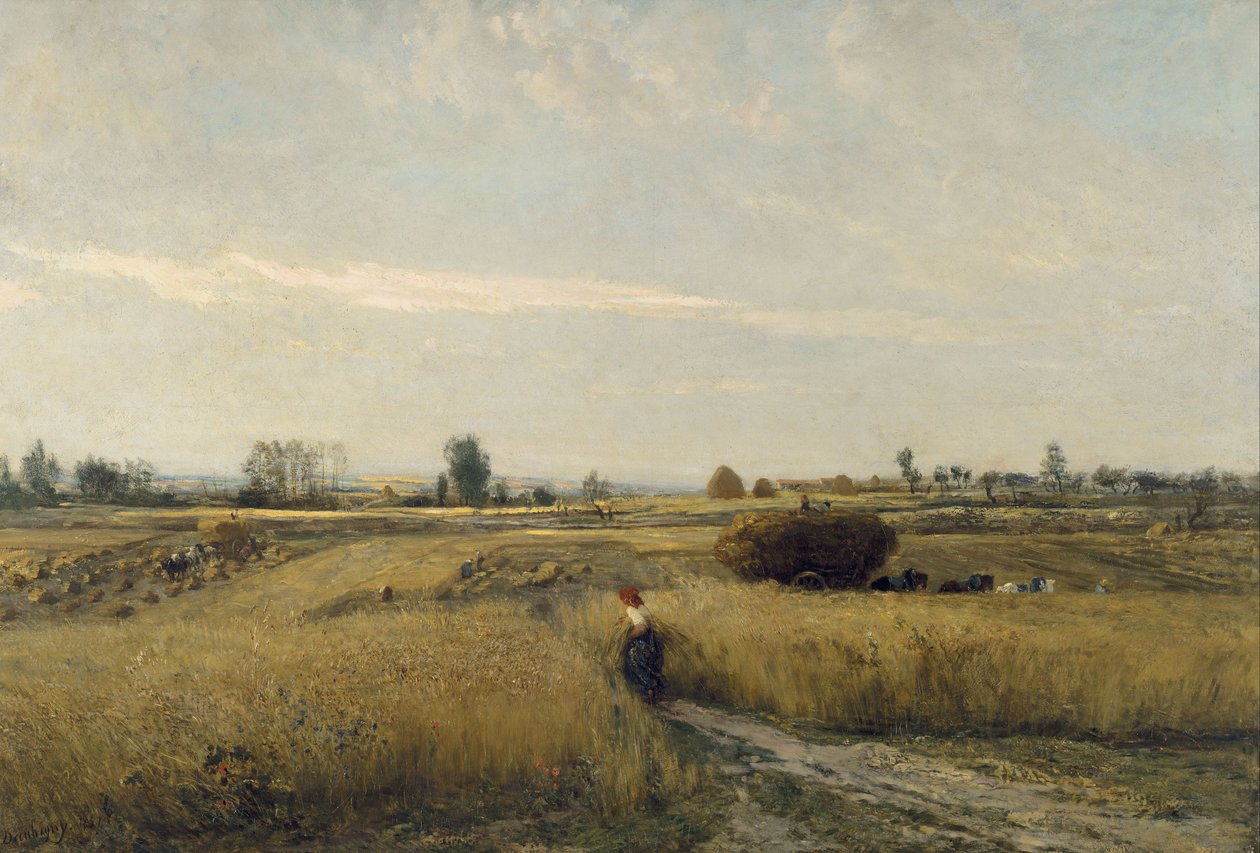 Skörda av Charles Francois Daubigny