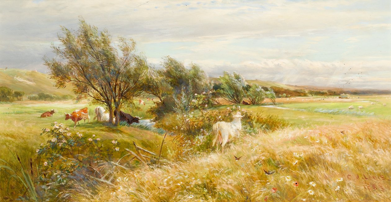 Boskap i en vattenäng (olja på papper) av Charles James Lewis