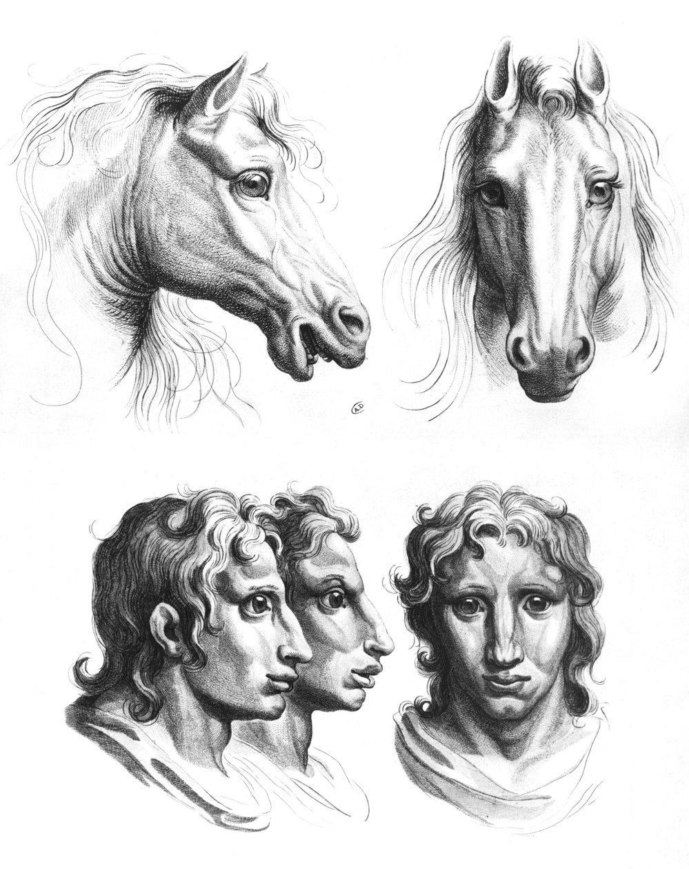 Likheter mellan huvuden på en häst och en man, från "Livre de portraiture pour them who begin to draw" av Le Brun av Charles Le Brun