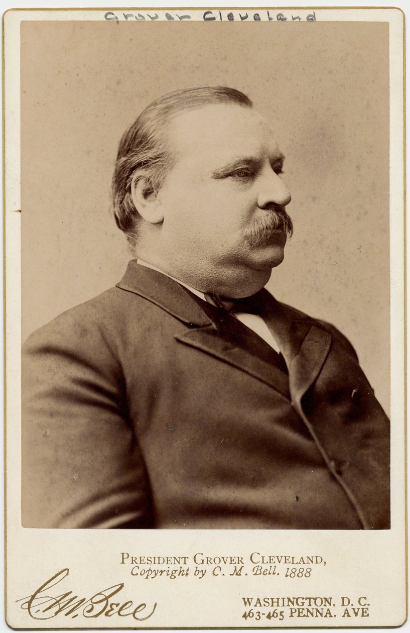Stephen Grover Cleveland (1837-1908), 22:a och 24:e presidenten i USA (albumfoto) av Charles Milton Bell