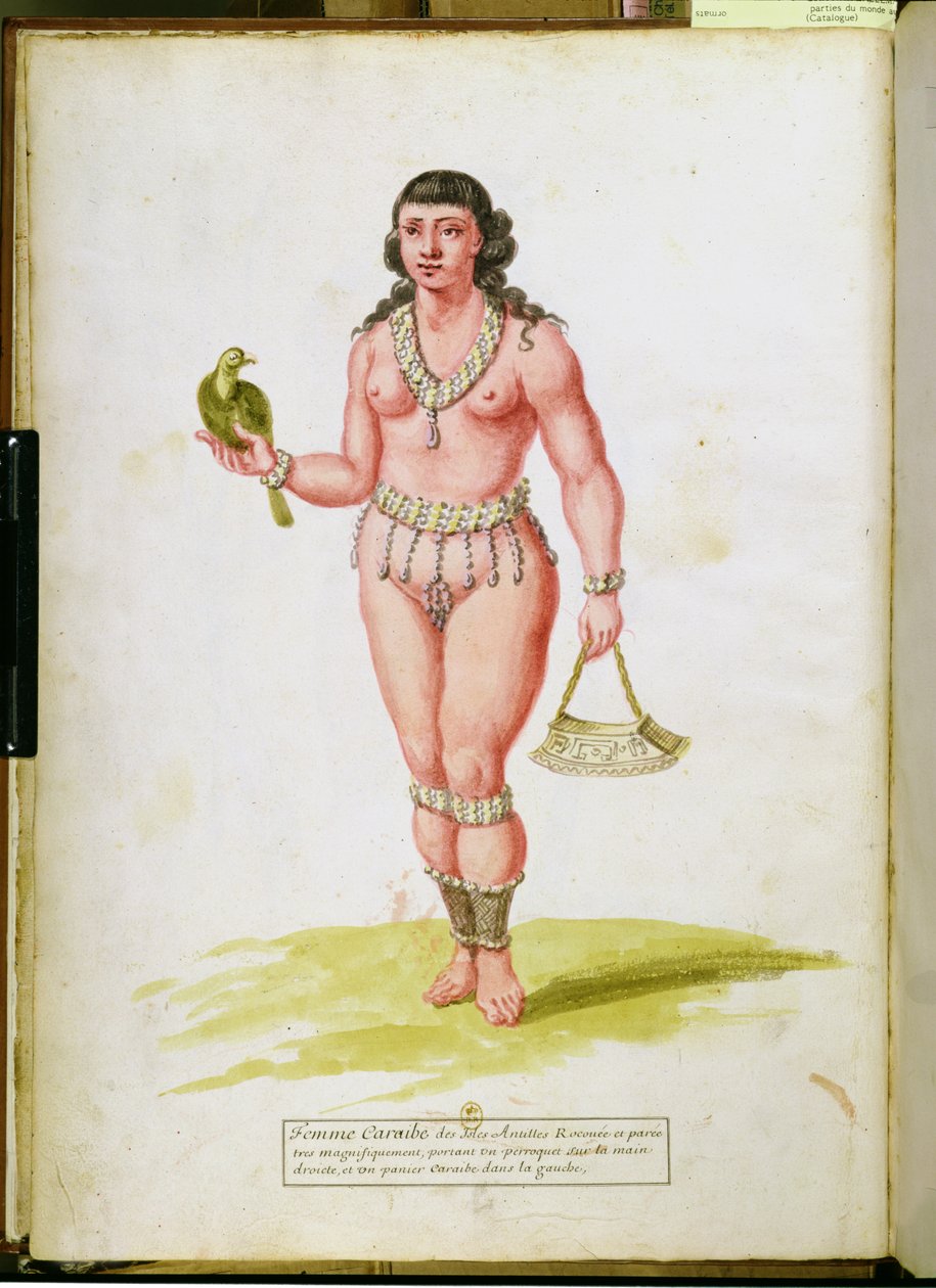 Infödd i Karibien med en papegoja, från ett manuskript om växter och civilisation på Antillerna, ca 1686 av Charles Plumier