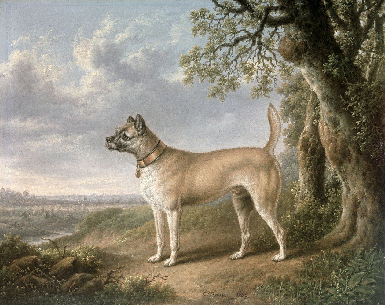 En terrier på en stig i ett skogslandskap av Charles Towne