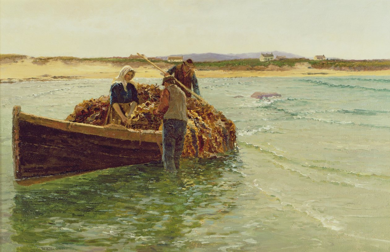 Lossa Kelp Weed av Charles William Bartlett