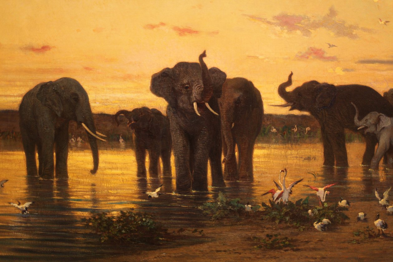 Afrikanska elefanter av Charles Émile de Tournemine