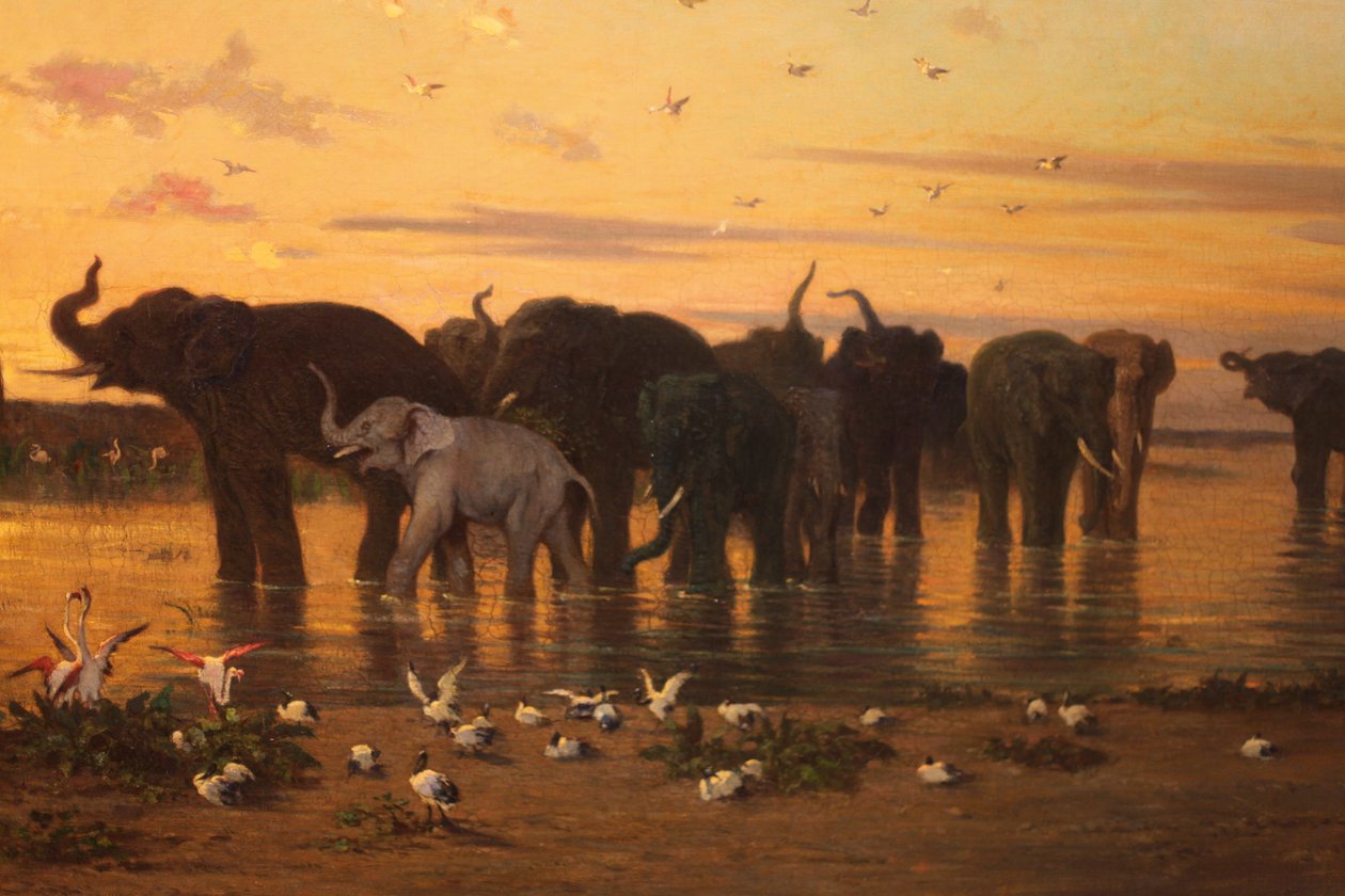 afrikanska elefanter av Charles Émile de Tournemine