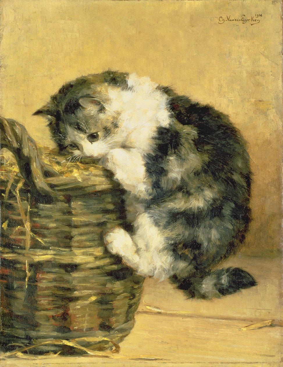 Katt med en korg av Charles van den Eycken