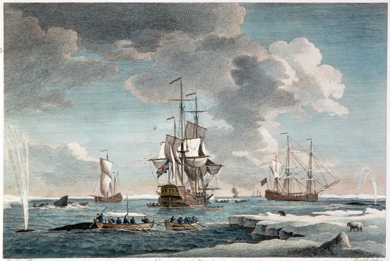 Greenland Fishery, graverad av John Boydell (1719-1804) 1754 (färggravyr) av Charles (after) Brooking