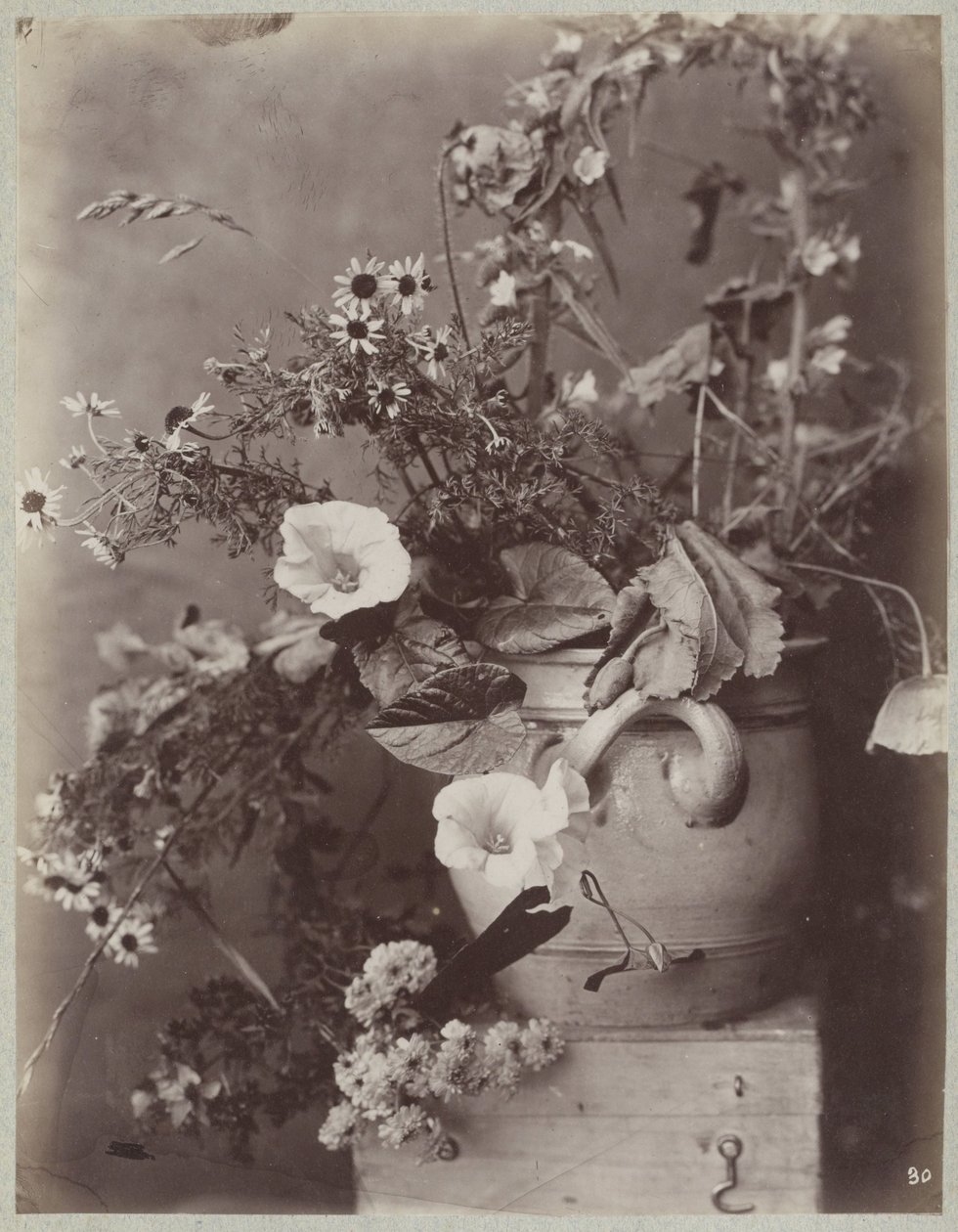 Blomstudie med en Kölnkruka på en låda av Charles Aubry (manner of)