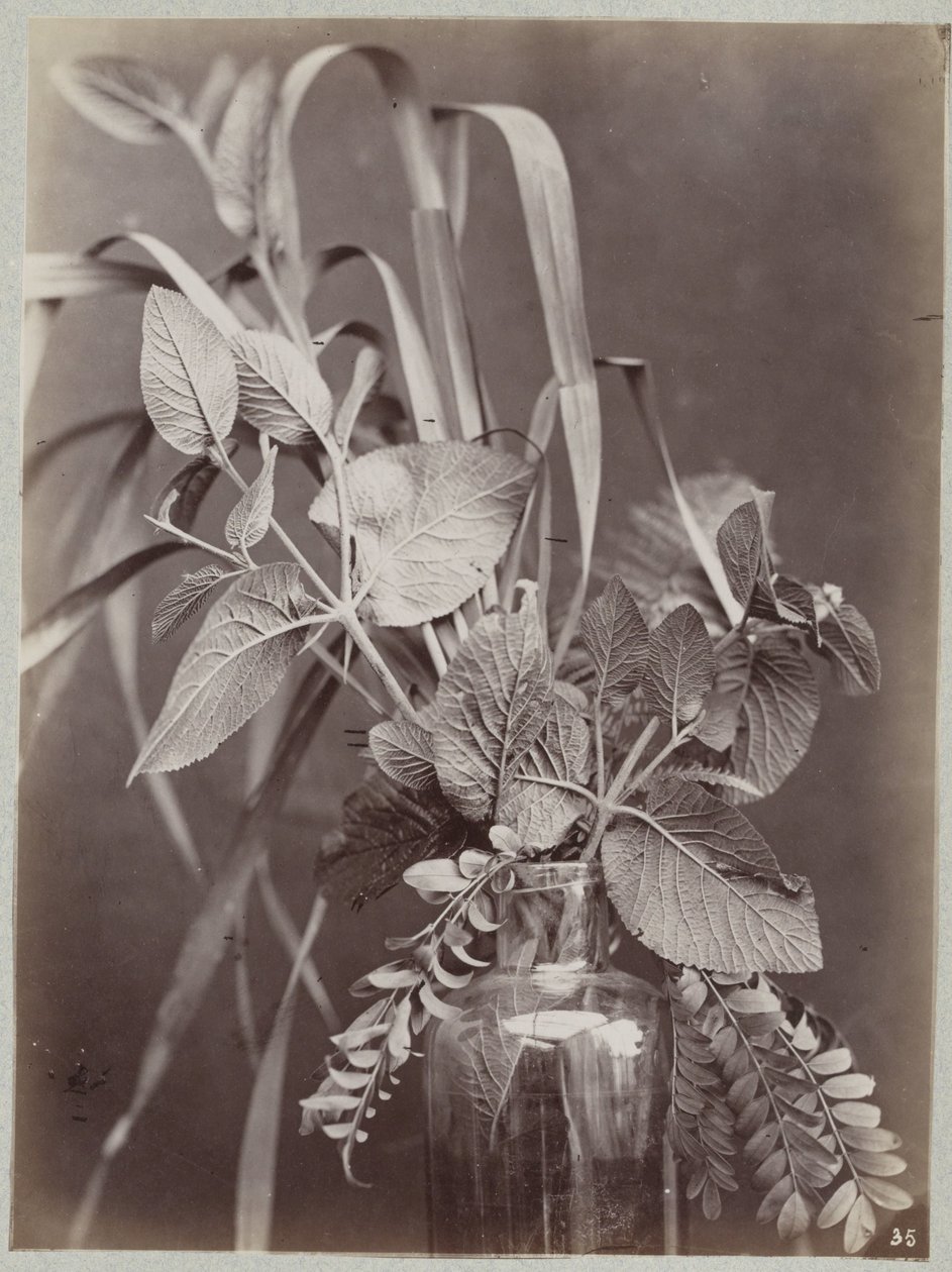 Blommastudie med glasflaska av Charles Aubry (manner of)