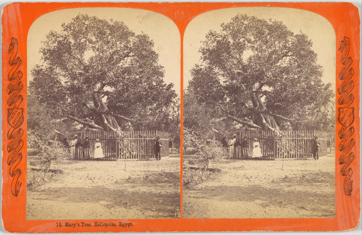 Marias träd. Heliopolis, Egypten av Charles Bierstadt