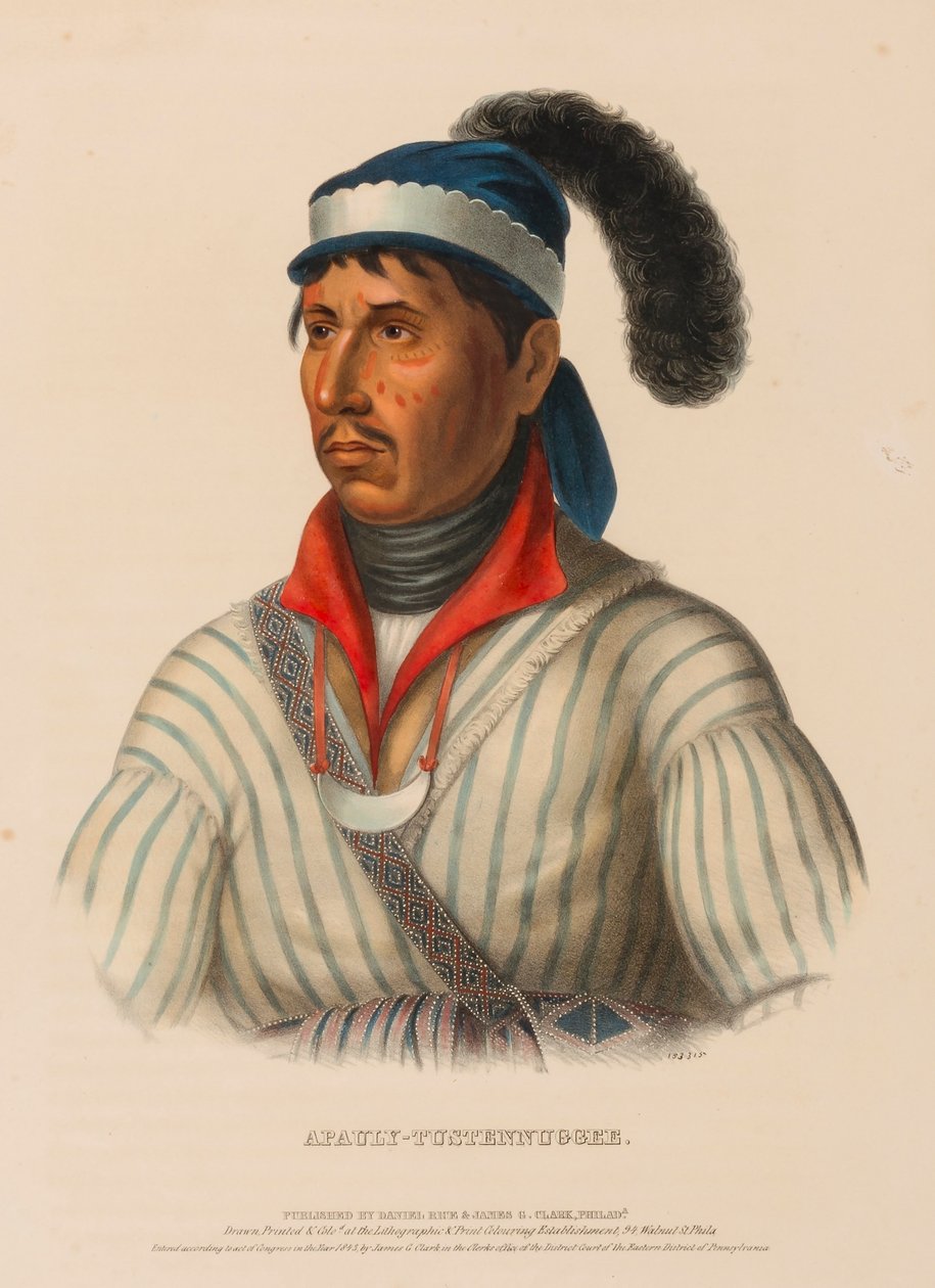 APAULY-TUSTENNUGGEE, från Historien om Nordamerikas indianstammar av Charles Bird King