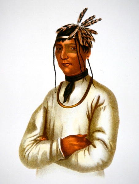 Caatousee av Chippewa-stammen (färglitografi) av Charles Bird King