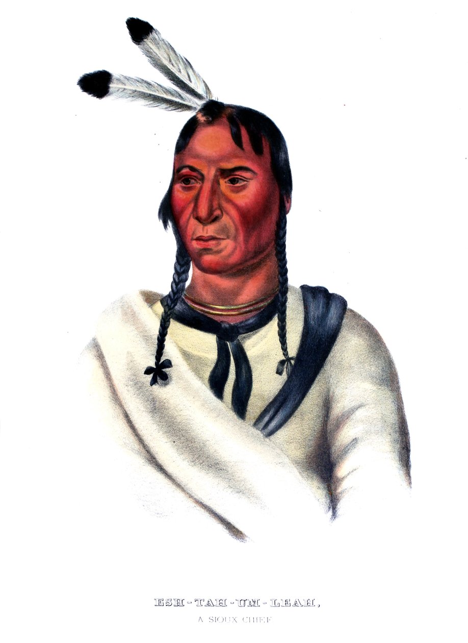 Eshtahumbah (Sömniga ögon), en Sioux-hövding av Charles Bird King