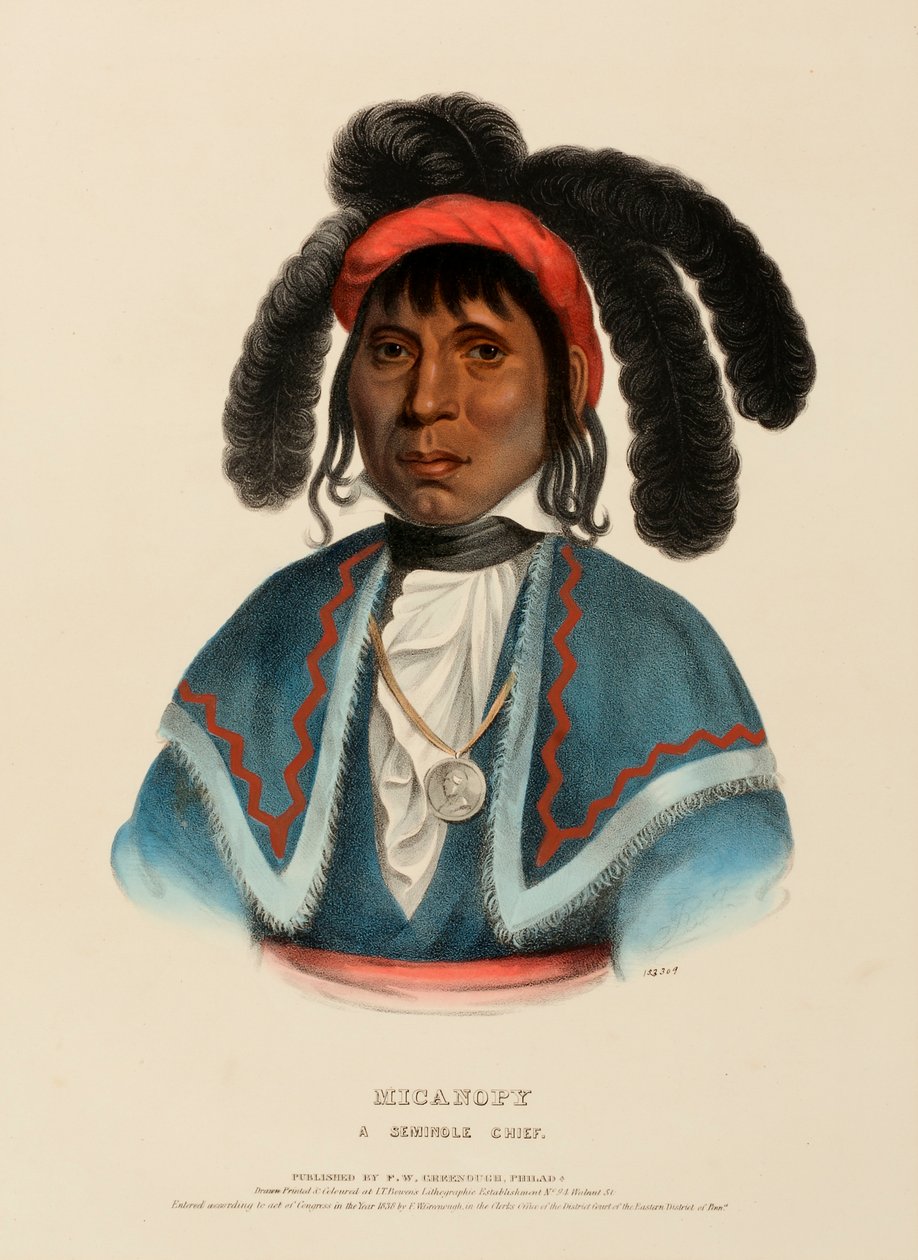 MICANOPY. A SEMINOLE CHIEF., från Historien om indianstammarna i Nordamerika av Charles Bird King