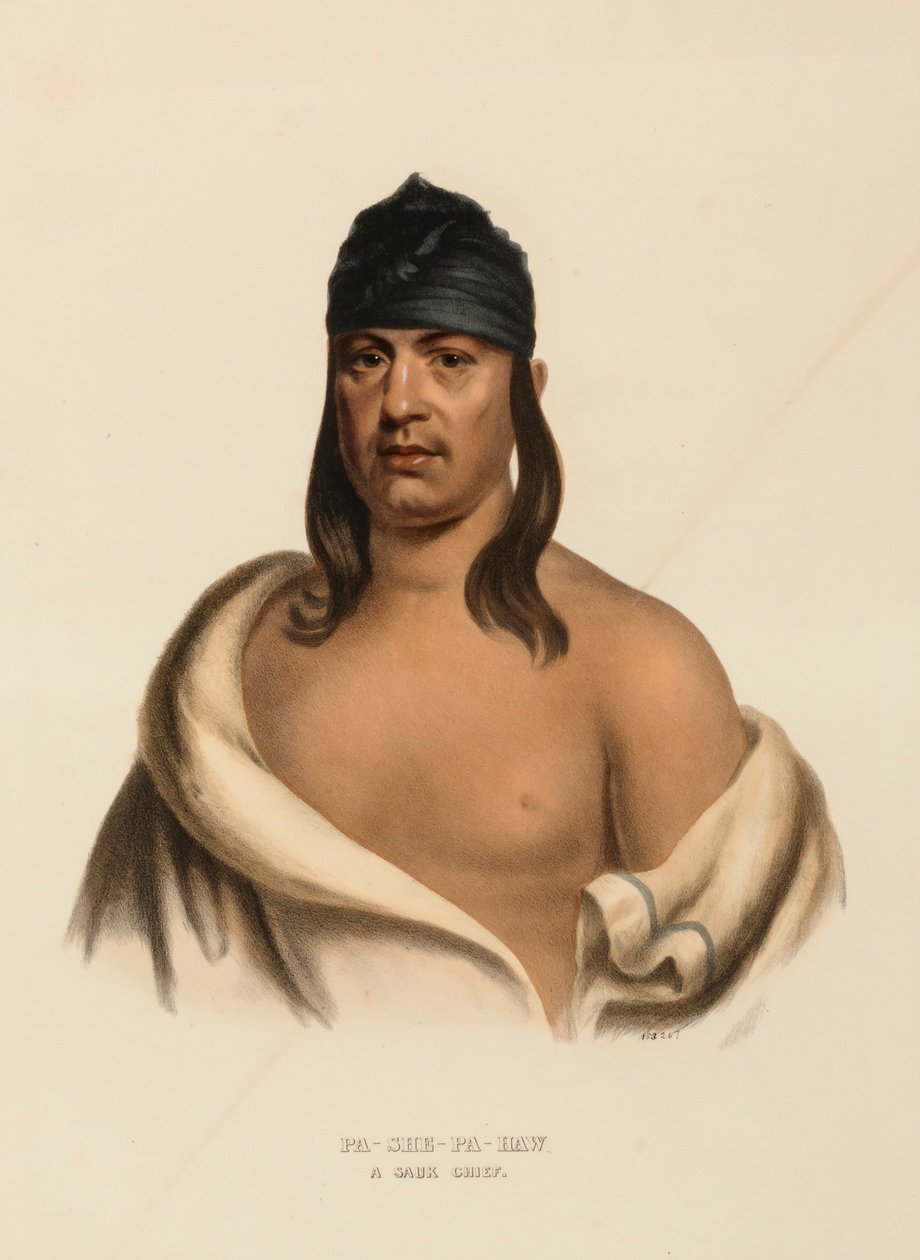 PA-SHE-PA-HAW. A SAUK CHIEF., från Historia om indianstammarna i Nordamerika av Charles Bird King